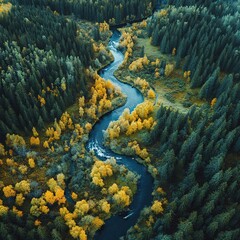 Aerial view of winding river flowing through autumn forest.