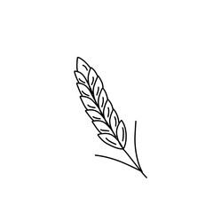 hand drawn wheat outline