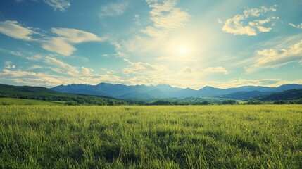 Obraz premium Vibrant green field with distant mountains under a blue sky with fluffy clouds and bright sun