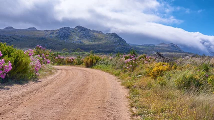 Fototapeten Mountain, landscape and dirt road with flowers in nature for travel direction, trekking pathway or hiking route. Clouds, plants or gravel trail with scenery for holiday trip, exploration or adventure © peopleimages.com