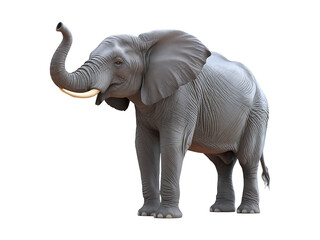 Obraz premium 3d Elephant isolated on white transparent PNG background