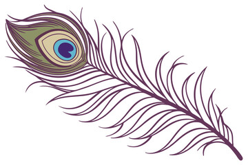 Obraz premium Adobe IllustratoPhotorealistic peacock feather, intricate detail, iridescent colors, purple plume, green and blue eyespot, golden brown accents, single feather, white background, high contrasr Artwork