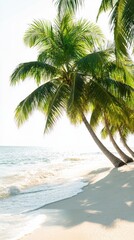 Obraz premium Serene Tropical Beach with Palm Trees and Gentle Ocean Waves