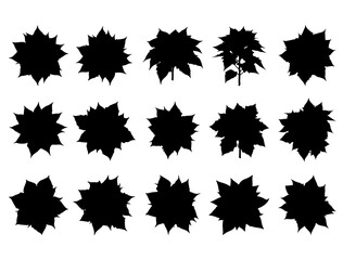 POINSETTIA SILHOUETTE ON WHITE BACKGROUND