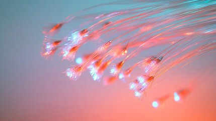Abstract Fiber Optic Lights with Colorful Soft Glow Displaying Motion
