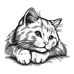 Svg Bombay cat curled