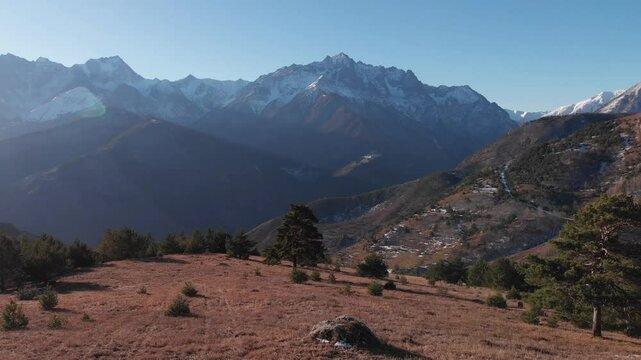 Caucasus, North Ossetia. Alagir gorge. Pine trees on the mountain slope.