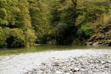 Haast River Flowing Under Cloudy Sky in New Zealand