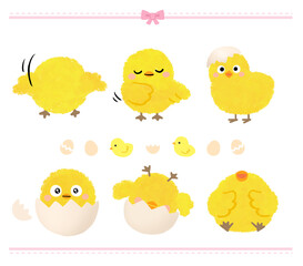 Cute various chick character illustration