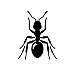Black Ant Silhouette: A minimalist illustration of a black ant silhouette, symbolizing teamwork, diligence, and perseverance, suitable for various projects.