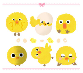 Cute various chick character illustration