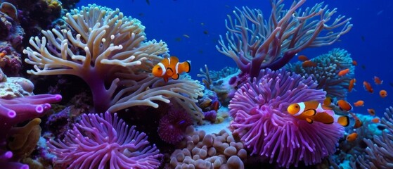 Obraz premium A close-up of intricate coral formations in shades of pink, orange, and purple, with tiny clownfish and anemones nestled among the branches