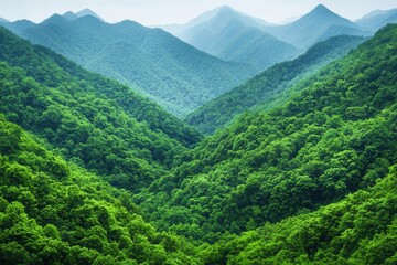 Fototapeta premium environmental conservation sustainability preservation restoration. Sustainable Tourism for Ecosystems Promoting eco-tourism to fund preservation efforts while supporting restoration projects