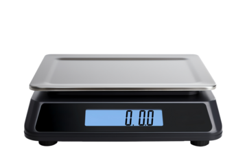 a black and silver scale