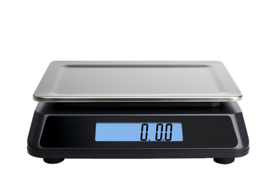 a black and silver scale