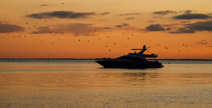 boat in the sea sunset time birds in the sky