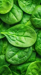 Obraz premium Fresh spinach leaves close-up, vibrant green, healthy food, background texture.