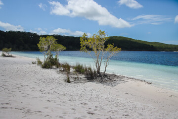 The Turquoise Waters of Lake McKenzie: A Natural Paradise
