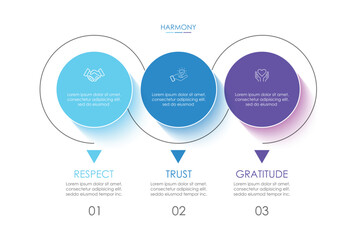 Business infographics. Chart with 3 steps, labels, options, circles. Vector infographic elements, circle chart