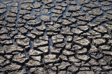 A network of cracks in dried mud