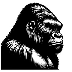 black and white illustration of a Gorilla