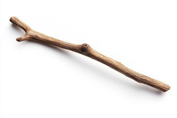Single twig, isolated, white background, nature craft