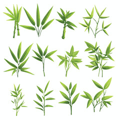 Obraz premium Bamboo branches and leaves Realistic bamboo sticks. colorful and black and white tree branch and stems with leaves isolated decorative closeup elements, vector and east forest trees Art & Illustration