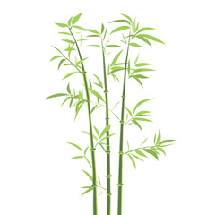 Obraz premium Bamboo branches and leaves Realistic bamboo sticks. colorful and black and white tree branch and stems with leaves isolated decorative closeup elements, vector and east forest trees Art & Illustration