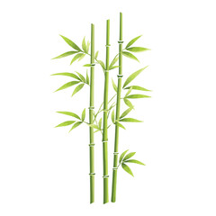 Bamboo branches and leaves Realistic bamboo sticks. colorful and black and white tree branch and stems with leaves isolated decorative closeup elements, vector and east forest trees Art & Illustration