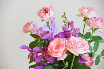 薔薇とアランダ