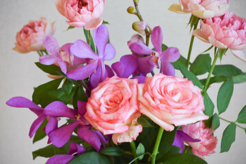 薔薇とアランダ