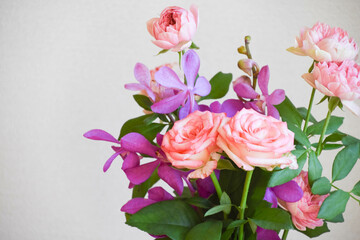 Fototapeta premium 薔薇とアランダ