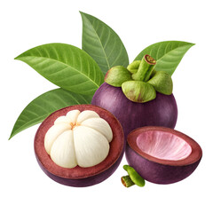 Mangosteen isolated on white background