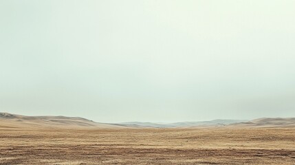 A serene and expansive view of an open plain stretches under a cloudy sky. The muted tones of grass and distant hills create a tranquil atmosphere in nature