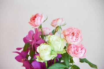 薔薇とアランダ