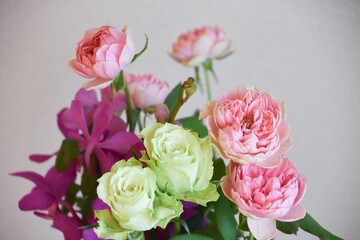 薔薇とアランダ