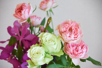 薔薇とアランダ
