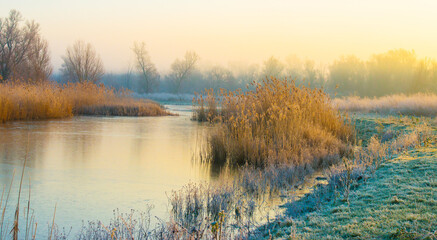 The edge of a frozen lake in the light of sunrise in winter, oostvaardersveld, almere, flevoland, netherlands, February 1, 2025