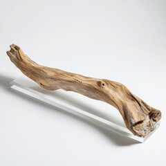 Studio shot Curved driftwood sculpture on clear stand