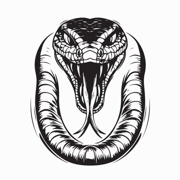 Angry Cobra Head Mascot Logo Design Fierce Snake Vector image on white background.