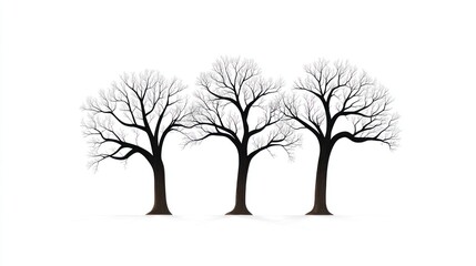 Obraz premium Three bare trees winter silhouette, white background, nature design