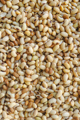 homemade natto fermented soy bean texture background, before fermentation.