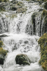 Burbling mountain stream flows over rocks and moss in a tranquil landscape during daytime.
