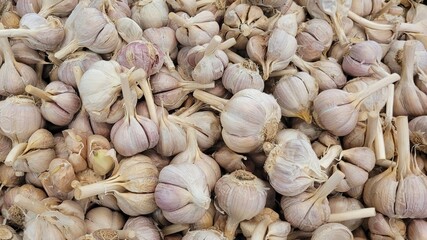 close up of garlic