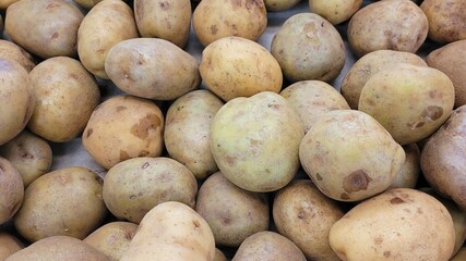 fruit