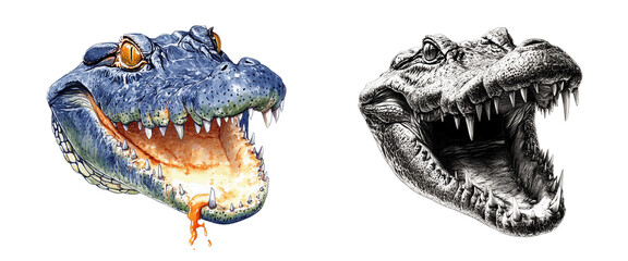 Naklejka premium Detailed illustration of two crocodile heads, one colored and one monochrome, isolated on transparent or white background