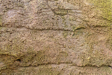 Rough Textured Plaster Cement Wall - Grunge Decorative Relief
