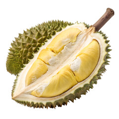 Obraz premium Durian fruit open revealing creamy yellow flesh exotic tropical delicious on white background