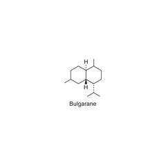 Fototapeta premium Bulgarane skeletal structure.Sesquiterpene compound schematic illustration. Simple diagram, chemical structure.