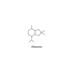 Alliacane skeletal structure.Sesquiterpene compound schematic illustration. Simple diagram, chemical structure.